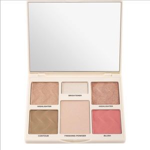 CoverFX Perfector face palette in light/medium